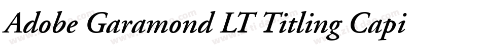 Adobe Garamond LT Titling Capitals字体转换